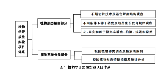 基于“双创”人才培养的植物学开放性实验设计与实践